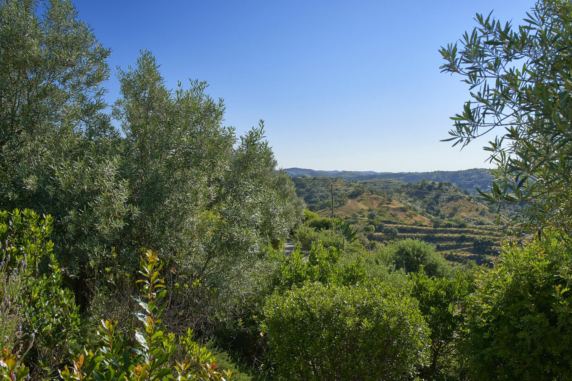 Hotel Rural Quinta Do Marco - Nature & Dining Tavira Exterior foto